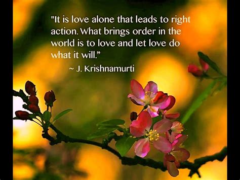 Jiddu Krishnamurti. Wisdom | J krishnamurti quotes, Jiddu krishnamurti ...