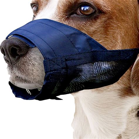 Pin on Best Dog Muzzles