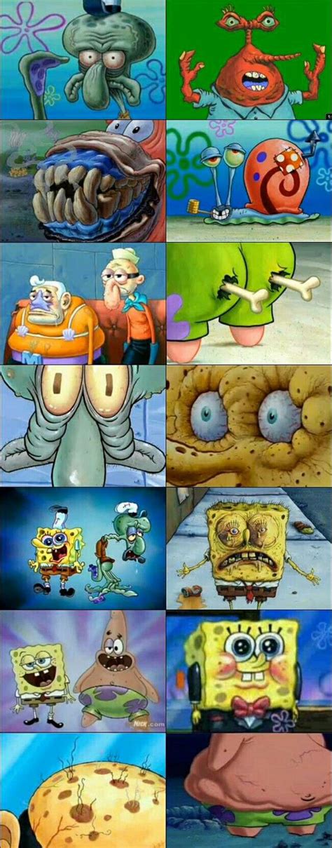 SpongeBob Close Ups | Spongebob, Spongebob squarepants, Squarepants