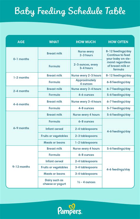 Details 149+ no bag day time table - xkldase.edu.vn