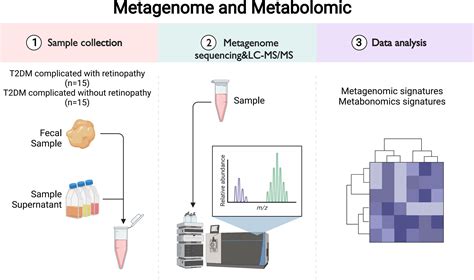 Frontiers | Metagenomic shotgun sequencing and metabolomic profiling ...