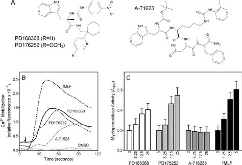 Figure 1 from Gastrin-Releasing Peptide/Neuromedin B Receptor Antagonists PD176252, PD168368 ...