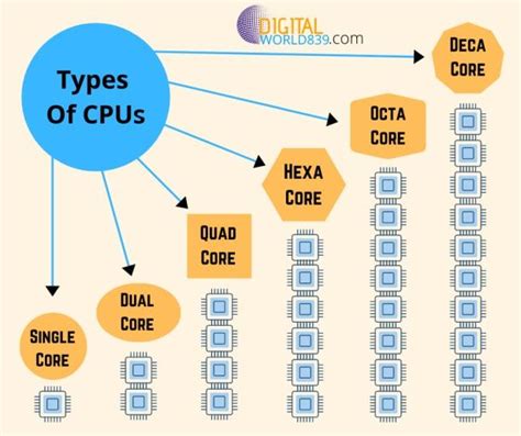 Discover Different Types of Central Processing Units