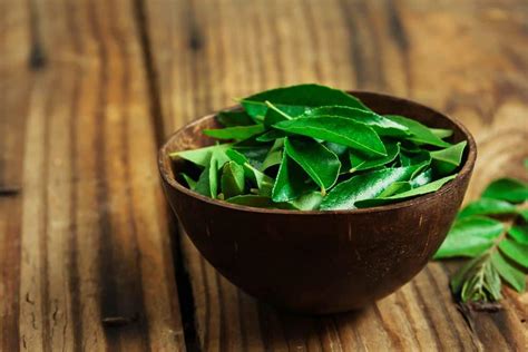 Curry Leaves - Benefits, Nutrition, And Recipes - Blog - HealthifyMe