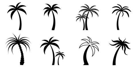 23,708 BEST Palm Tree Outline IMAGES, STOCK PHOTOS & VECTORS | Adobe Stock