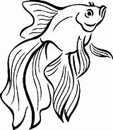 Printable Coloring Pages Of Fish sketch template
