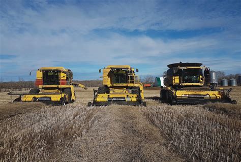 Old combines hold their own at harvest - Country Guide