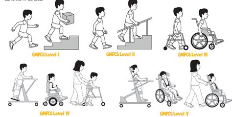 Using The Gross Motor Function Classification System-, 40% OFF