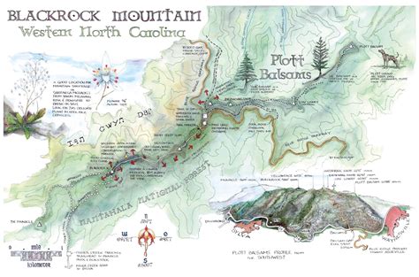 Enjoy a 4.6 mile round trip hike to Blackrock Mountain from the Blue ...