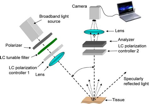 Liquid crystal devices tailored for specific imaging applications