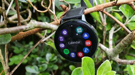 Braut adoptieren Silber samsung active 2 wear os Den Mülleimer ...