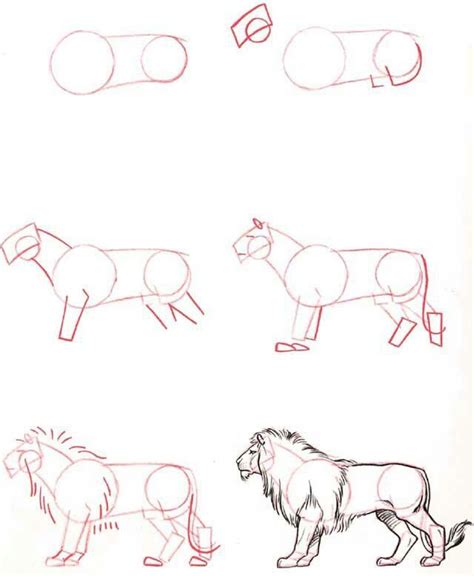 Lion | Lifeandhealth | Life and Health | Animal drawings, Drawing tutorial, Sketches