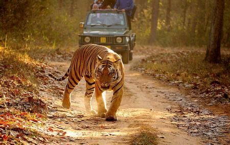 Kanha Kisli National Park, Jabalpur | Ticket Price | Timings | Address ...