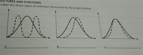 Natural Selection Graph