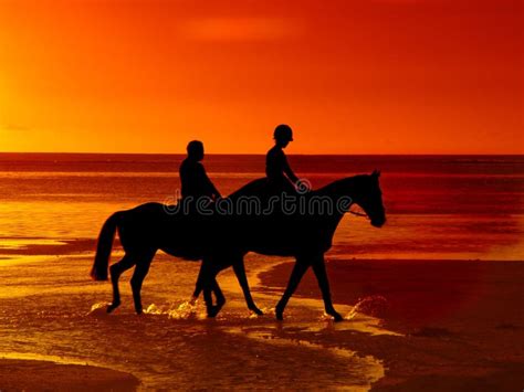 Horse riding at sunset stock photo. Image of waves, shore - 2177478