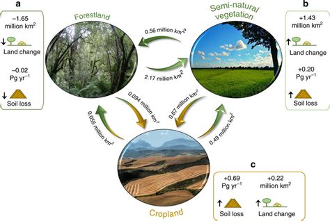 Flow diagram of land use changes and their effects on the soil loss... | Download Scientific Diagram