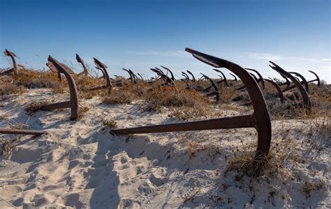 Free Images : barril, beach, sky, sand, wood, ecoregion, driftwood, landscape, tree, horizon ...