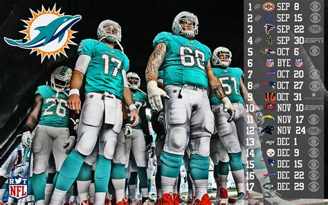 Miami Dolphins Wallpapers (72+ pictures) - WallpaperSet