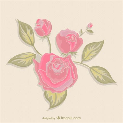 Free Vector | Pink roses