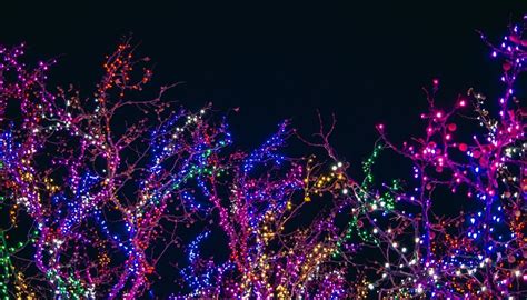 Where To See Christmas Lights In Vancouver, Washington | Dr. Bowyer Blog