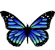 Pixel Butterfly Gif Png Over 200 angles available for each 3d object rotate and download