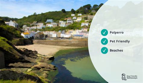 The Best 3 Dog Friendly Beaches in Polperro (+ Restrictions)