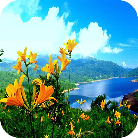 Nature 4K Wallpaper:Amazon.it:Appstore for Android