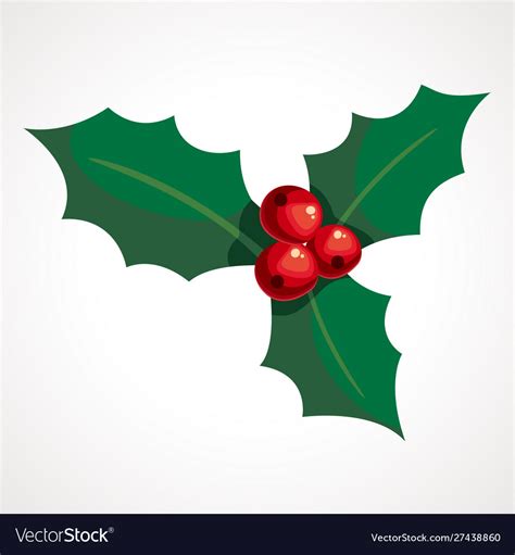 Cartoon holly berry and leaves christmas Vector Image