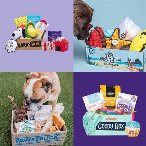 8 Best Dog Subscription Boxes — Pet Subscription Boxes | Trusted Since 1922