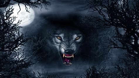 42 Inspirational Badass Wolf Wallpaper (With images) | Shadow wolf ...