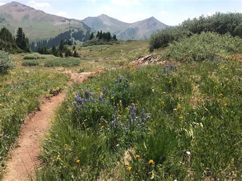 Best Crested Butte Hiking Trails in Colorado Rockies