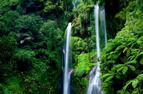 Air Terjun Sekumpul, Pesona Hidden Gem di Bali - Bali Uptodate