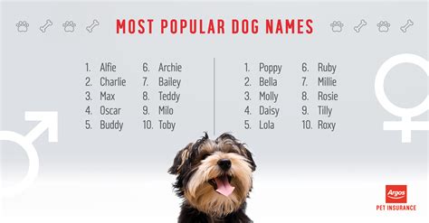 What are the most popular dog names - Argos Pet Insurance