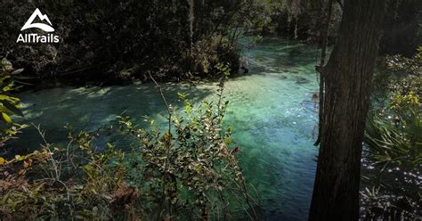 Best hikes and trails in Weeki Wachee Springs State Park | AllTrails