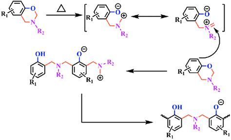 Process of ring-opening polymerization of benzoxazines | Download Scientific Diagram