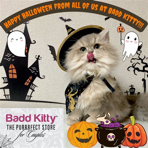 Badd Kitty - Happy Halloween Kitties!!! Have a...