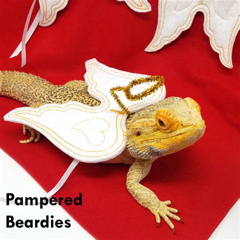 Bearded Dragon Costumes For People