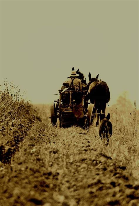 One man and his dog. Amish. Bird-in-Hand.Pennsylvania. by Michael Snead ...