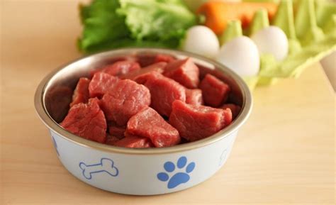 16 Best Raw Dog Foods [2023 Reviews] Meaty, Uncooked Dog Food!