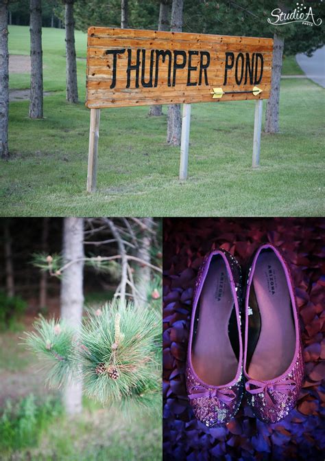 Thumper Pond Resort Wedding Photographer | Studio A Photo | Nate + Jodi