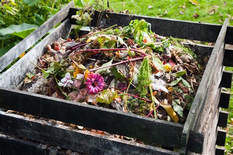 Composting 101: Tips to Get Your Compost Pile Started – CapeSave ...