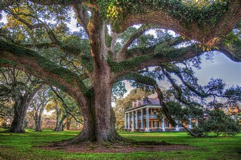 Houmas House Plantation | photoremedy.me