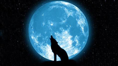 Wolf Howling at The Moon Wallpaper ·① WallpaperTag