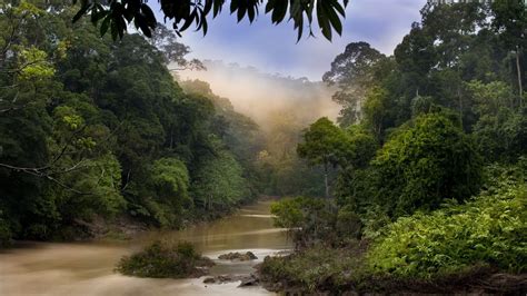 Malaysia Nature - 1920x1080 Wallpaper - teahub.io