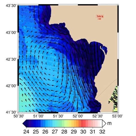 [PDF] Monitoring of sea surface currents by using sea surface ...