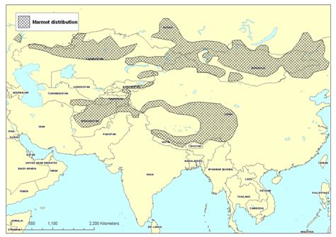 2: The current geographical distribution of marmot species (Marmota ...