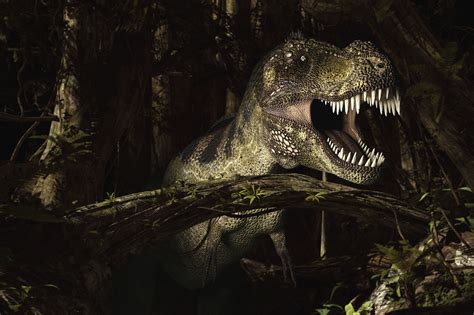 10 Facts About Tyrannosaurus Rex, King of the Dinosaurs