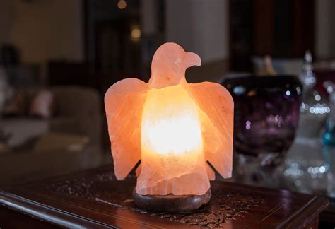 Salt Lamp Shapes - Agro Hub