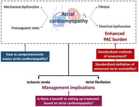 Premature Atrial Complex