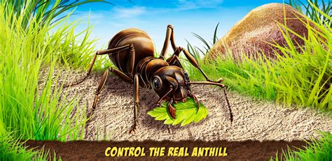 Amazon.com: Ant Empires Life Quest Simulator - Down the Ground: Appstore for Android